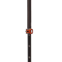 Carbon whippet pole